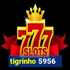 tigrinho 5956